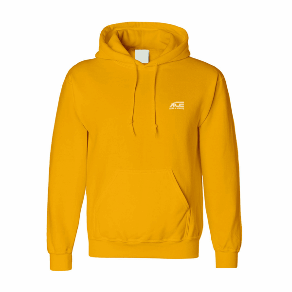 Bright Sunshine Hoodie