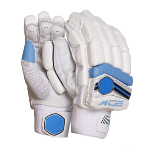 Beige With Blue Accents