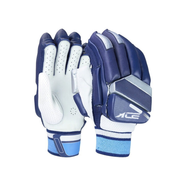 Dark Blue & White Gloves