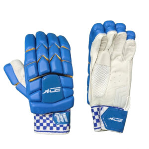 Blue & White Gloves